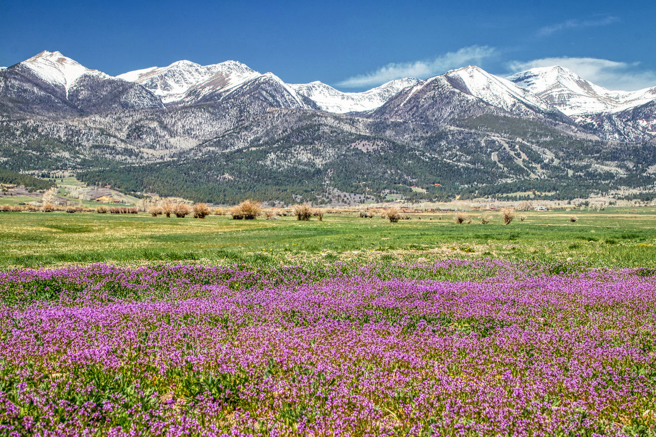 The Sangre De Cristo Mountain range at Spring